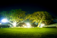 Arboles