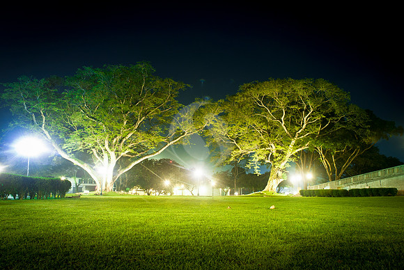 Arboles