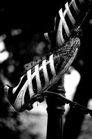 untitled-8291